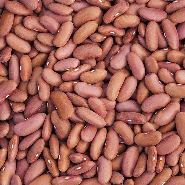 Kidney Beans (Light Red)